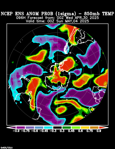 NCEP Ensemble forecast product