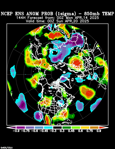 NCEP Ensemble forecast product