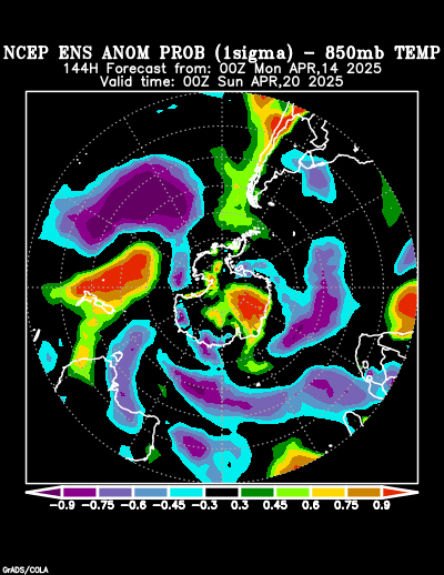 NCEP Ensemble forecast product