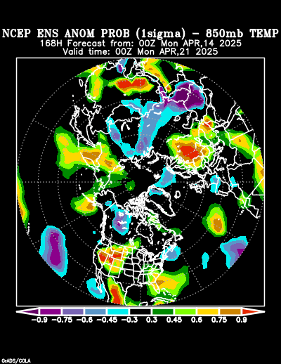 NCEP Ensemble forecast product