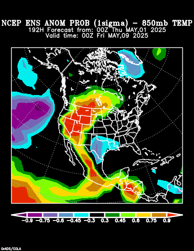 NCEP Ensemble forecast product