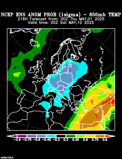 NCEP Ensemble forecast product