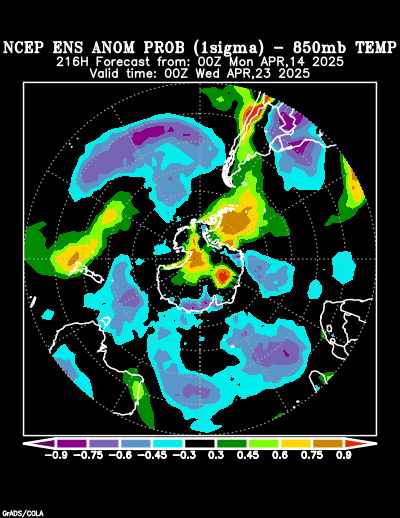 NCEP Ensemble forecast product