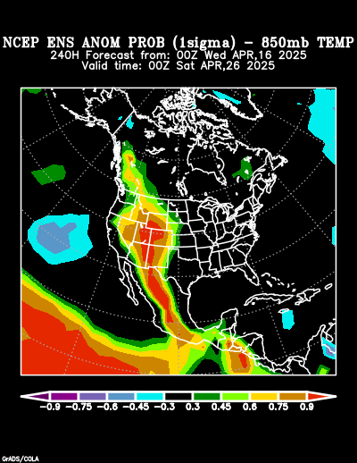 NCEP Ensemble forecast product