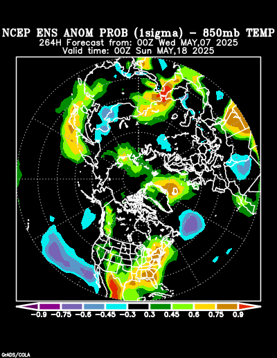 NCEP Ensemble forecast product