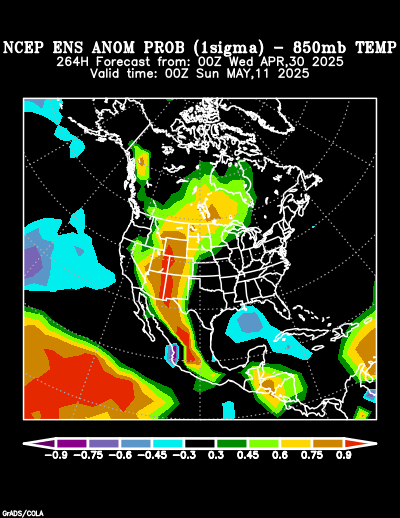 NCEP Ensemble forecast product