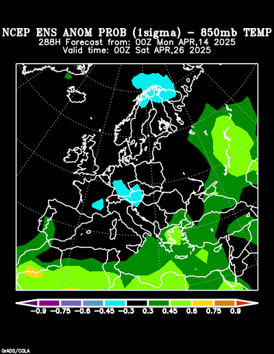 NCEP Ensemble forecast product