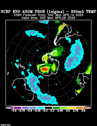 NCEP Ensemble forecast product