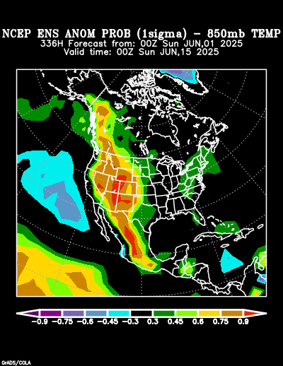 NCEP Ensemble forecast product