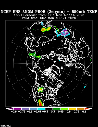 NCEP Ensemble forecast product