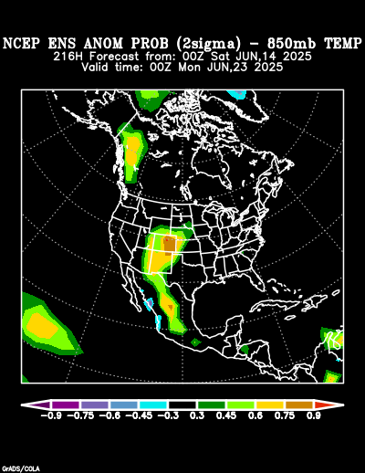 NCEP Ensemble forecast product