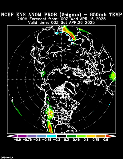 NCEP Ensemble forecast product