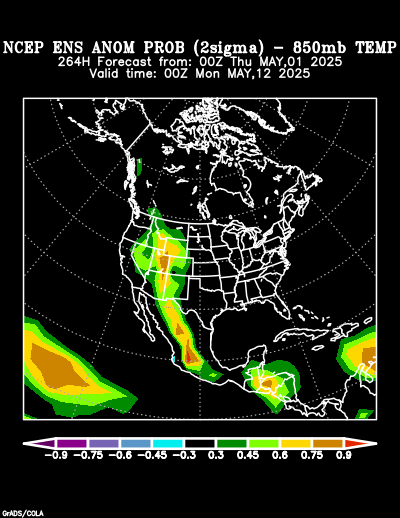 NCEP Ensemble forecast product