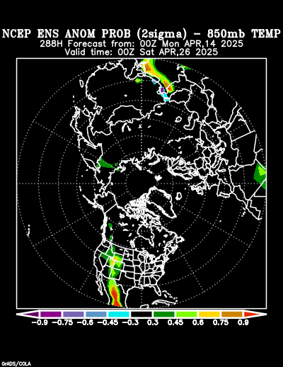 NCEP Ensemble forecast product