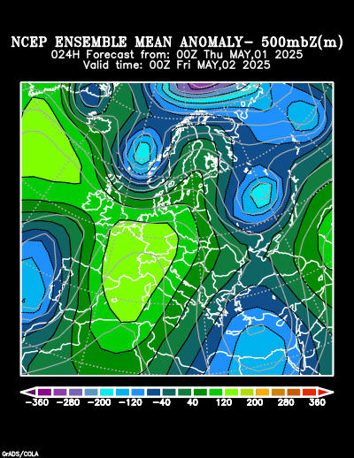 NCEP Ensemble t = 024 hour forecast product