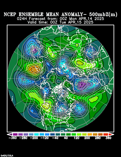 NCEP Ensemble t = 024 hour forecast product