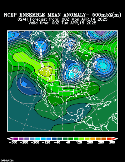 NCEP Ensemble t = 024 hour forecast product