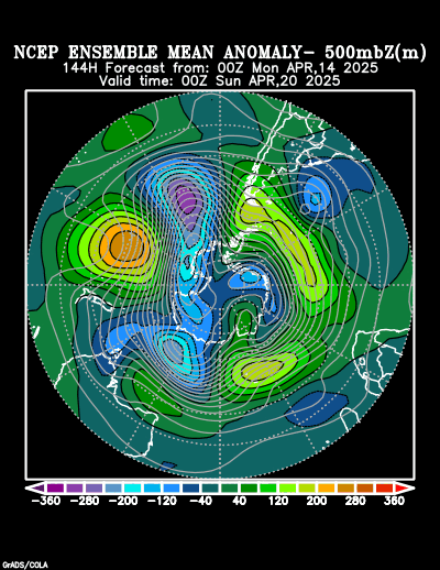 NCEP Ensemble forecast product