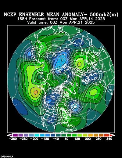 NCEP Ensemble t = 168 hour forecast product