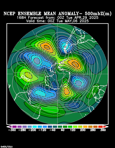 NCEP Ensemble forecast product