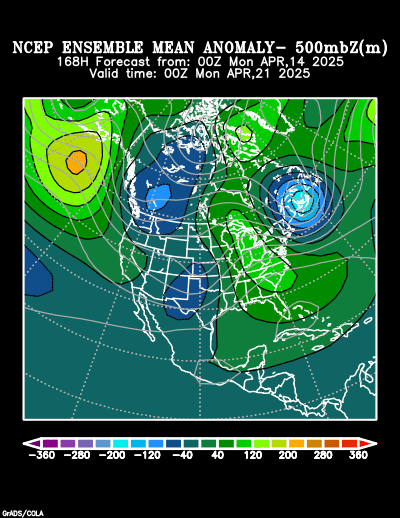 NCEP Ensemble forecast product