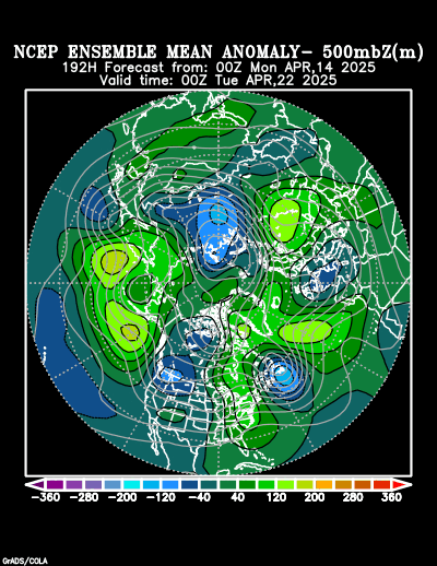 NCEP Ensemble forecast product