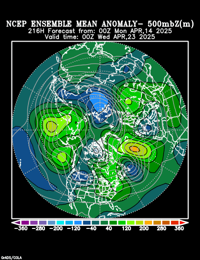 NCEP Ensemble t = 216 hour forecast product