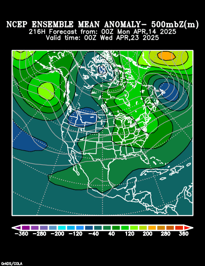 NCEP Ensemble t = 216 hour forecast product