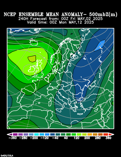 NCEP Ensemble t = 240 hour forecast product