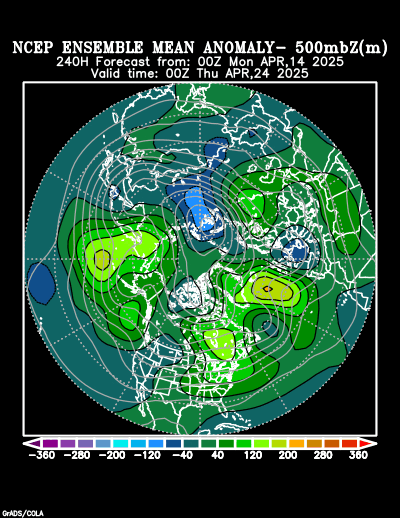 NCEP Ensemble forecast product