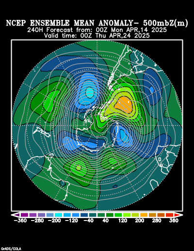 NCEP Ensemble t = 240 hour forecast product