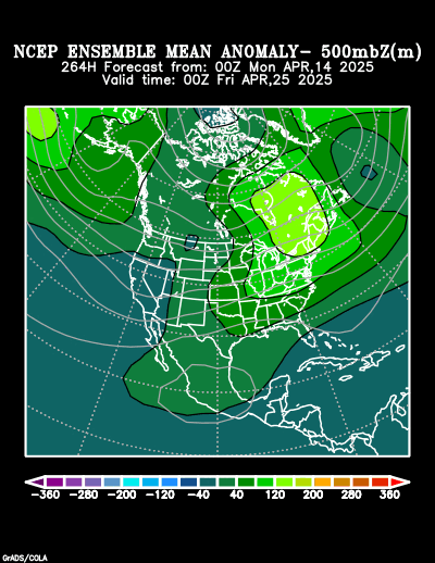 NCEP Ensemble t = 264 hour forecast product