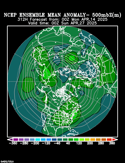 NCEP Ensemble t = 312 hour forecast product