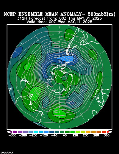 NCEP Ensemble t = 312 hour forecast product