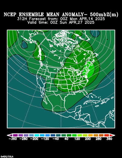 NCEP Ensemble t = 312 hour forecast product