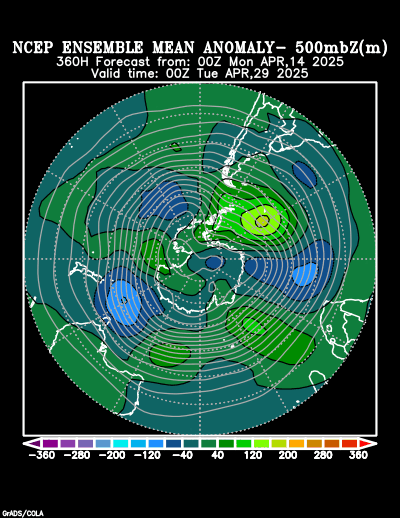 NCEP Ensemble t = 360 hour forecast product