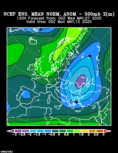 NCEP Ensemble forecast product