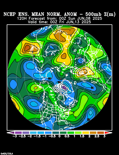 NCEP Ensemble forecast product