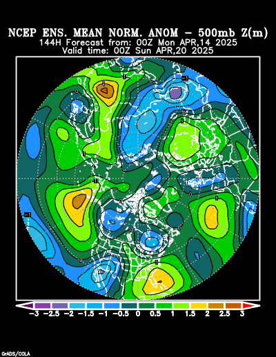 NCEP Ensemble forecast product