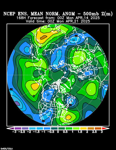 NCEP Ensemble forecast product