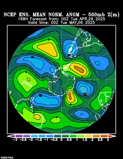 NCEP Ensemble forecast product