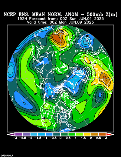 NCEP Ensemble forecast product