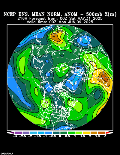 NCEP Ensemble forecast product