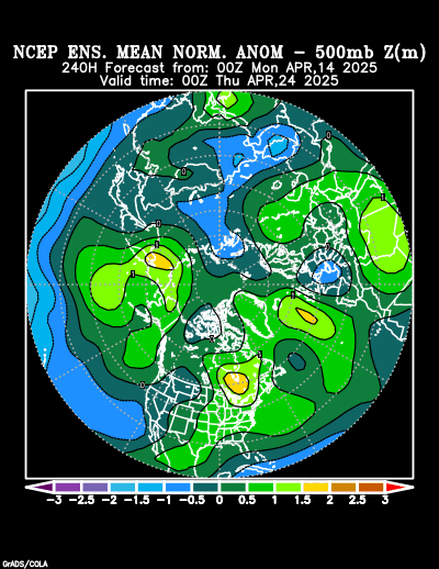 NCEP Ensemble forecast product