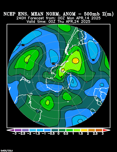 NCEP Ensemble forecast product