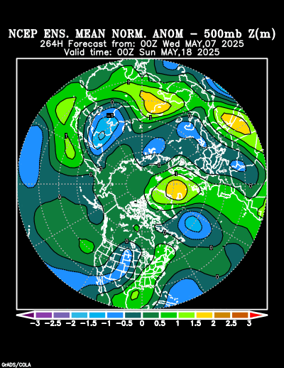 NCEP Ensemble forecast product