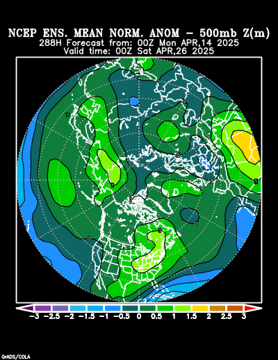 NCEP Ensemble forecast product