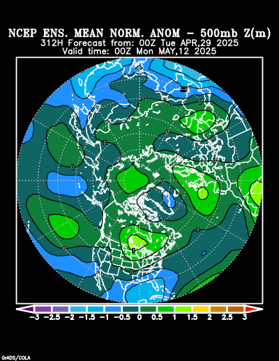 NCEP Ensemble forecast product