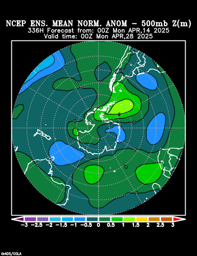 NCEP Ensemble forecast product