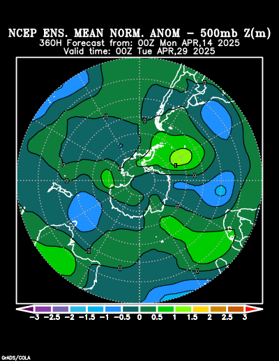 NCEP Ensemble forecast product